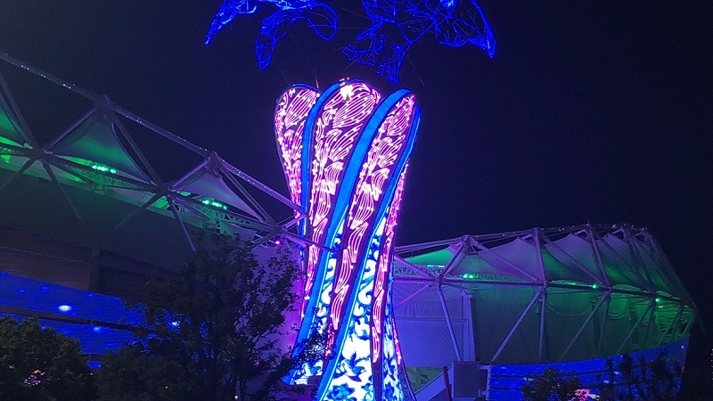 軍運(yùn)會(huì)夜景
